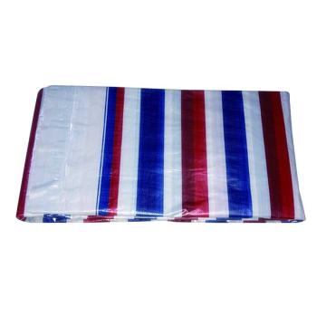 SAFEWARE/安赛瑞 加厚彩条布防雨布，12450，3*10M/张，彩条