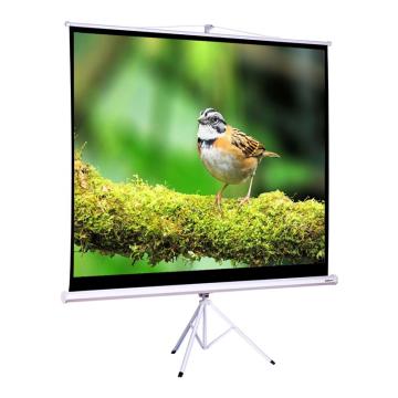 Deli/得力 支架投影幕， 50491（100英寸4：3）（白）