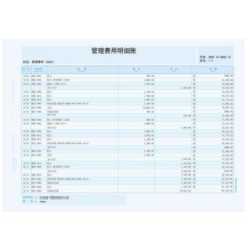 SIMAA/西玛 A4总分类账（明细账） ,KZJ101-500份/包 2包/箱