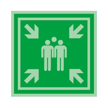 SAFEWARE/安赛瑞 船用IMO安全标识-紧急集合点，自发光不干胶，150×150mm，20460