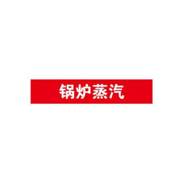 SAFEWARE/安赛瑞 管道标识-锅炉蒸汽，自粘性乙烯表面覆膜，红底白字，25×125mm，14962，10张/包