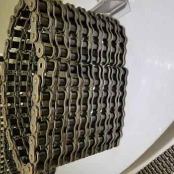 DHZQ/东华自强 A系列直链板滚子链，40节-1.5M，双排，C24A-2-40L